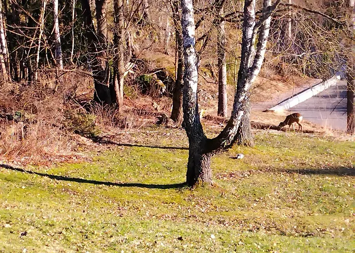 Apartment Stylish 1br Apt- Garden, Terrace & Easy *