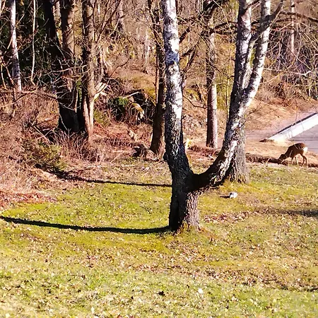 Leilighet Stylish 1br Apt- Garden, Terrace & Easy *