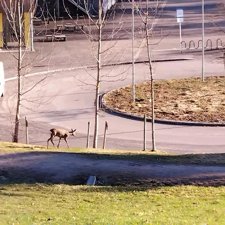 Stylish 1br Apt- Garden, Terrace & Easy Leilighet *