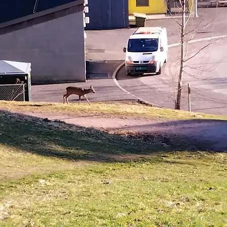 Appartement Stylish 1br Apt- Garden, Terrace & Easy